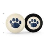 Penn State Cue Ball & 8 Ball 6 Penn State Cue Ball & 8 Ball
