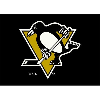 Pittsburgh Penguins 6x8 Spirit Rug