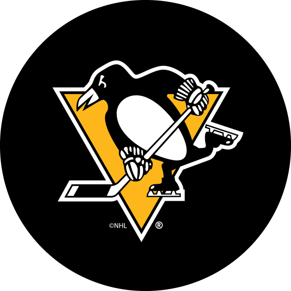 Pittsburgh Penguins Chrome Bar Stool 2