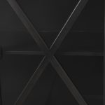Poppy I 79x16 Black Metal With Glass Door Sideboard