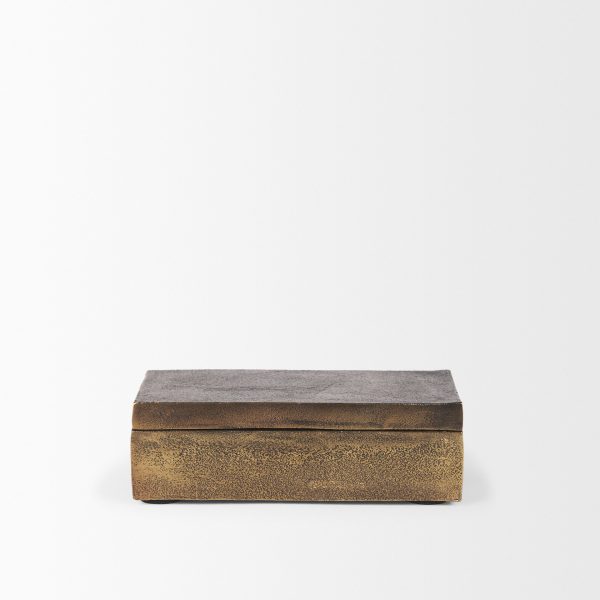 Porschia Small Antiqued Gold Metal Decorative Box 5