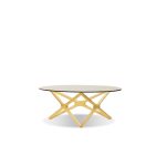 QUASAR Round Clear Glass Ash Wood Coffee Table