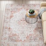 Washable Persian Style Light Gray and Rust Area Rug 6x9