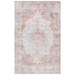 Washable Persian Style Light Gray and Rust Area Rug 6x9