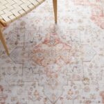 Washable Persian Style Light Gray and Rust Area Rug 6x9