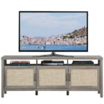 Rattan Door TV Stand with Storage for TVs up to 65 Inch