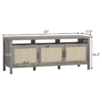 Rattan Door TV Stand with Storage for TVs up to 65 Inch