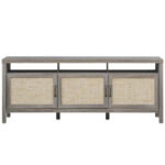 Rattan Door TV Stand with Storage for TVs up to 65 Inch