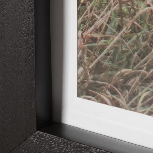 Red Barn I by Mercana Studio a Hand Embelished Textured Framed Art Print Matted under Glass 5