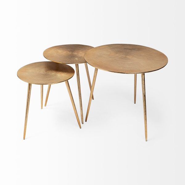 Reva I Large 24L x 24W Gold Round Top Cast Aluminum Accent Table 3