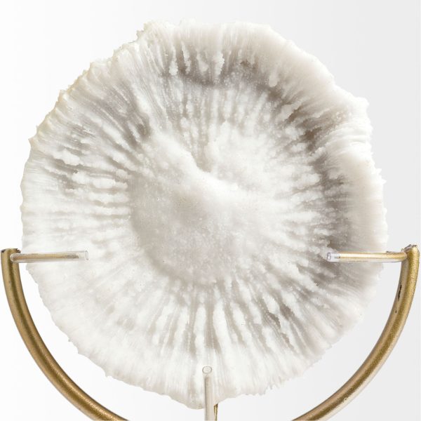 Sandy III Large 8L x 4W White Coastal Sand Dollar Object 4