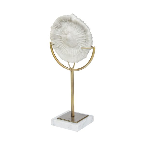 Sandy III Large 8L x 4W White Coastal Sand Dollar Object