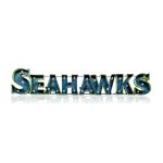 Seattle Seahawks Recycled Metal Lighted Wordmark Logo Sign