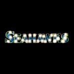 Seattle Seahawks Recycled Metal Lighted Wordmark Logo Sign