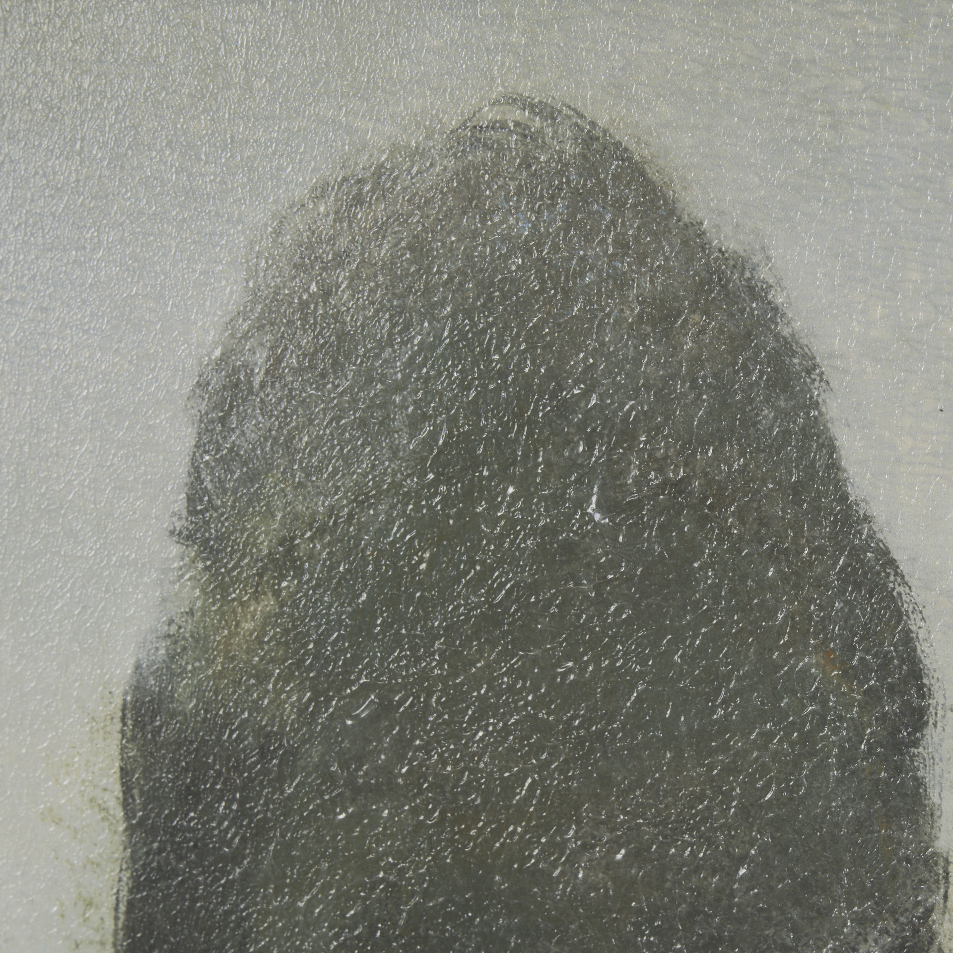 Secret Garden III by Mercana Studio a Hand Embelished Textured Framed Art Print Matted under Glass 8 Secret Garden III by Mercana Studio a Hand Embelished Textured Framed Art Print Matted under Glass - Image 8