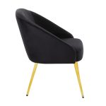 Shiraz Gold and Black Velvet Contemporary Accent Chair 12 Shiraz Gold and Black Velvet Contemporary Accent Chair