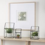 Sikes (Large) 10L x 10W x 16H Hut Terrarium W/Glass Base