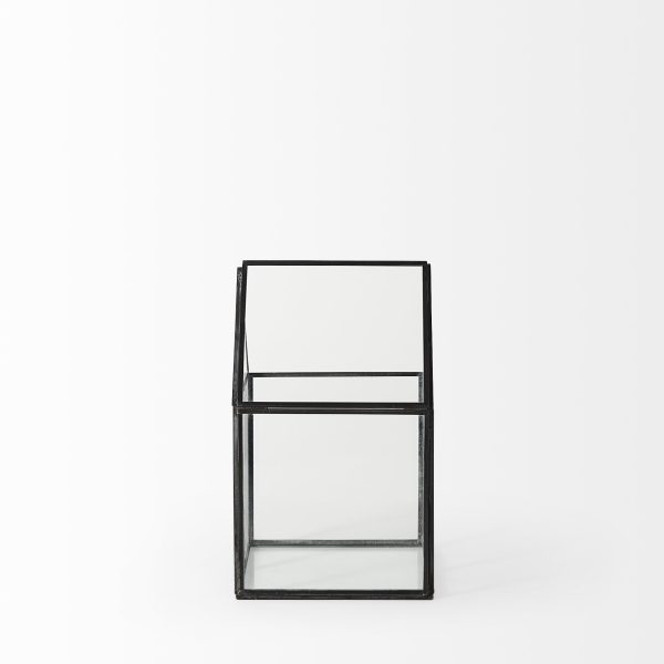 Sikes Small 6L x 6W x 10H Glass Terrarium 3