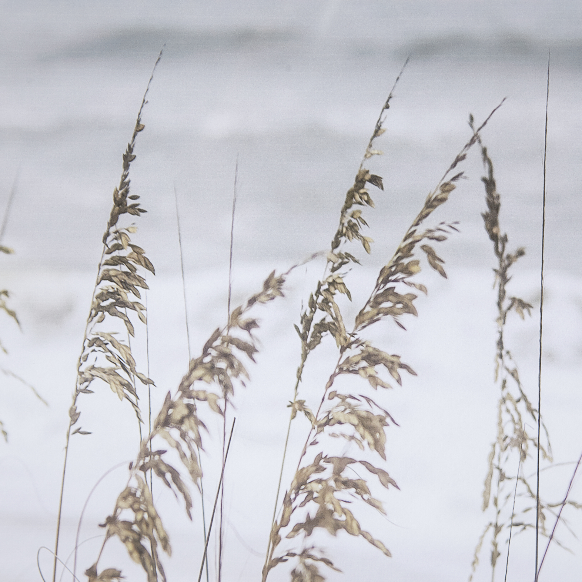 Silver Seagrass by Marlana Semenza a Hand Embelished Textured Framed Art Print Matted under Glass 6 Silver Seagrass by Marlana Semenza a Hand Embelished Textured Framed Art Print Matted under Glass - Image 6