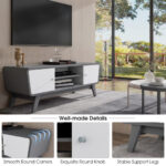 Sliding Door TV Stand with Adjustable Shelf for 55 Inch TVs 41 Sliding Door TV Stand with Adjustable Shelf for 55 Inch TVs