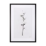 Snow Greetings II by Panpan a Framed Art Print Matted under Glass 9 Snow Greetings II by Panpan a Framed Art Print Matted under Glass