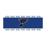 St. Louis Blues Chrome Lamp 5 St. Louis Blues Chrome Lamp