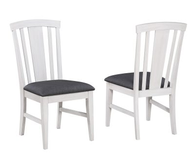 Summer Winds Fan Back Side Chair (Pack of 2)