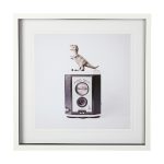 T-rex & Vintage Camera by Susannah Tucker Photography a Framed Art Print Matted under Glass 7 T-rex & Vintage Camera by Susannah Tucker Photography a Framed Art Print Matted under Glass