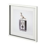T-rex & Vintage Camera by Susannah Tucker Photography a Framed Art Print Matted under Glass 9 T-rex & Vintage Camera by Susannah Tucker Photography a Framed Art Print Matted under Glass