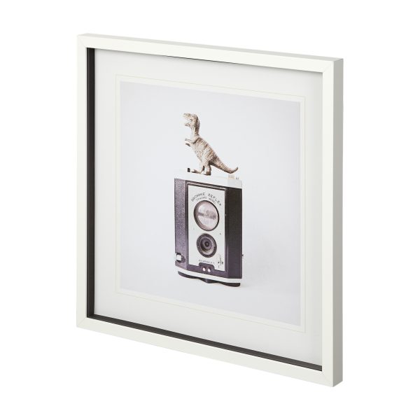 T rex Vintage Camera by Susannah Tucker Photography a Framed Art Print Matted under Glass 2
