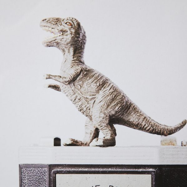 T rex Vintage Camera by Susannah Tucker Photography a Framed Art Print Matted under Glass 5