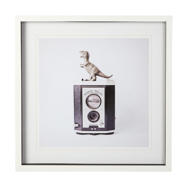 T rex Vintage Camera by Susannah Tucker Photography a Framed Art Print Matted under Glass