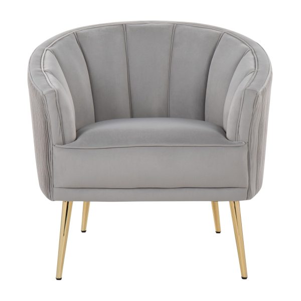 Tania Silver Velvet Gold Steel Contemporary Accent Chair 5