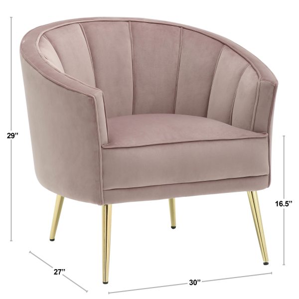 Tania Silver Velvet Gold Steel Contemporary Accent Chair 7
