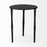 Timothy 16.0L x 16.0W X 20.0H Ebony Black Iron Side Table
