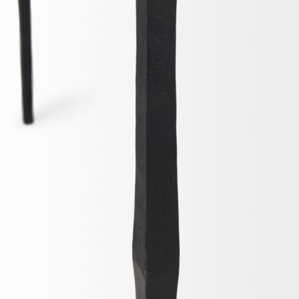 Timothy 48.0 X 8.0 X 30.0 Ebony Black Iron Console Table 7