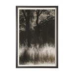 Tranquil Symmetry I by Mikael Svensson a Framed Art Print Matted under Glass 9 Tranquil Symmetry I by Mikael Svensson a Framed Art Print Matted under Glass