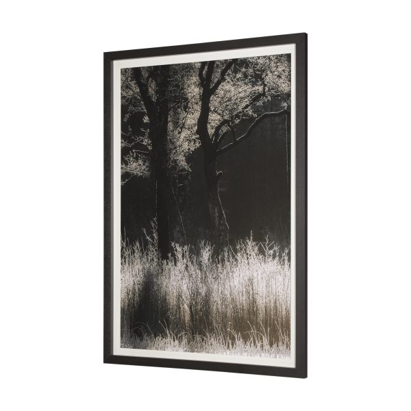 Tranquil Symmetry I by Mikael Svensson a Framed Art Print Matted under Glass 2