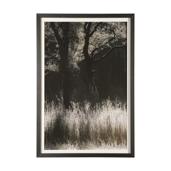 Tranquil Symmetry I by Mikael Svensson a Framed Art Print Matted under Glass