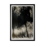 Tranquil Symmetry II by Mikael Svensson a Framed Art Print Matted under Glass 8 Tranquil Symmetry II by Mikael Svensson a Framed Art Print Matted under Glass