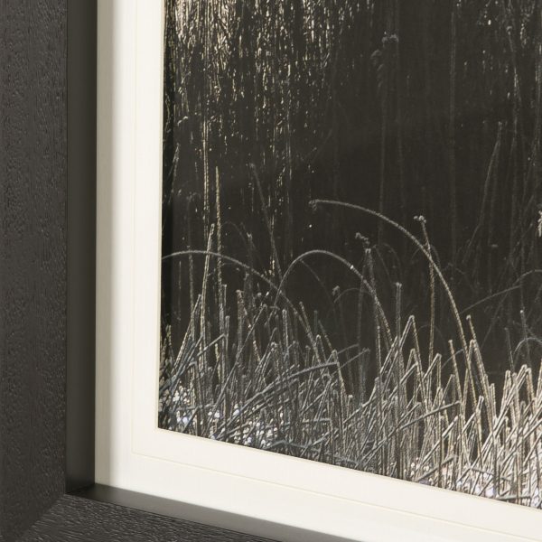 Tranquil Symmetry II by Mikael Svensson a Framed Art Print Matted under Glass 5