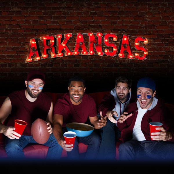 Univ of Arkansas Arkansas Lighted Recycled Metal Sign