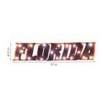 Univ of Florida-Florida Lighted Recycled Metal Sign 4 Univ of Florida-Florida Lighted Recycled Metal Sign