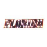 Univ of Florida-Florida Lighted Recycled Metal Sign 6 Univ of Florida-Florida Lighted Recycled Metal Sign