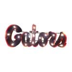 Univ of Florida-Gators Lighted Recycled Metal Sign 4 Univ of Florida-Gators Lighted Recycled Metal Sign
