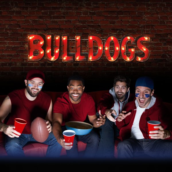 Univ of Georgia Bulldogs Lighted Recycled Metal Sign