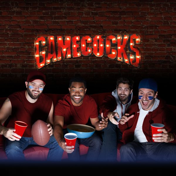 Univ of S. Carolina Gamecocks Lighted Recycled Metal Sign 1