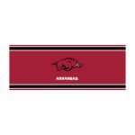 University of Arkansas Chrome Lamp 8 University of Arkansas Chrome Lamp