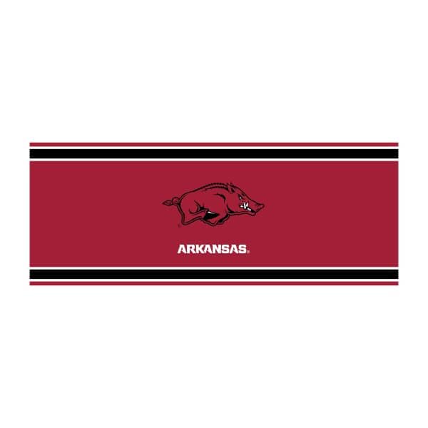 University of Arkansas Chrome Lamp 2