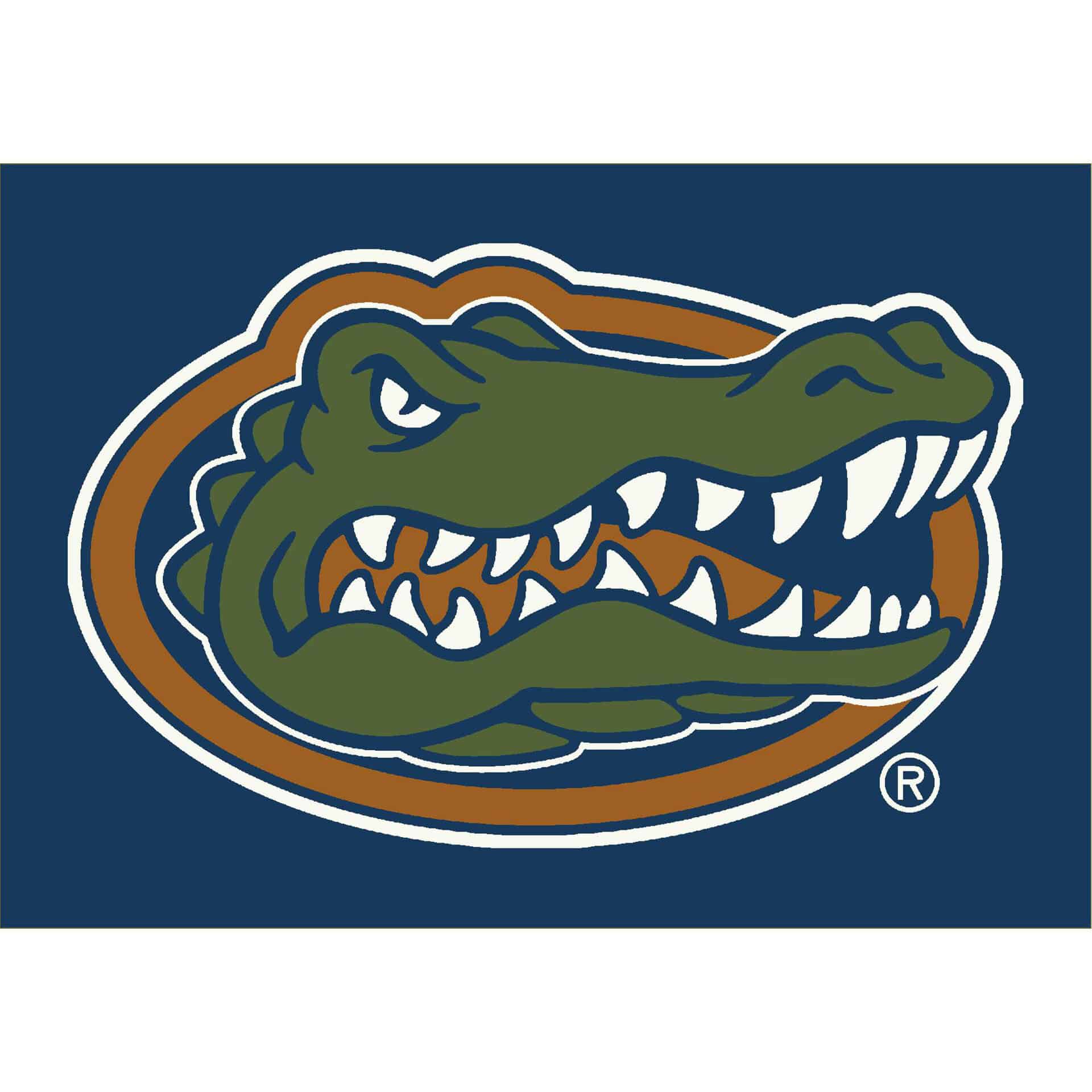 University of Florida 6x8 Spirit Rug 2 University of Florida 6x8 Spirit Rug - Image 2